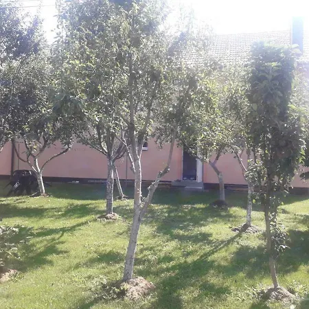 Jelena Kupres (Canton 10)